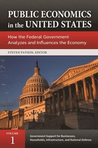 bokomslag Public Economics in the United States