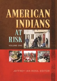 bokomslag American Indians at Risk