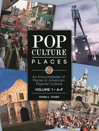 bokomslag Pop Culture Places