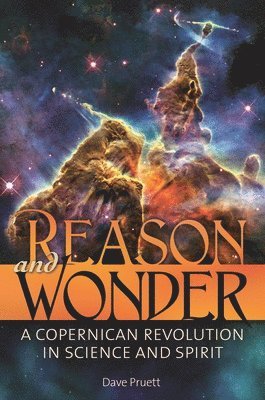 bokomslag Reason and Wonder