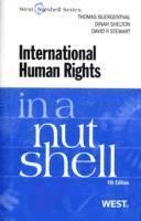 International Human Rights in a Nutshell
