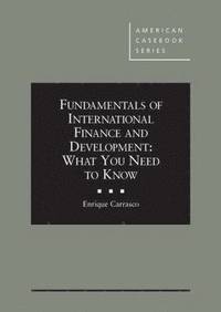 bokomslag Fundamentals of International Finance and Development