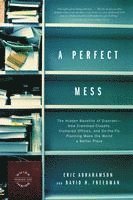 bokomslag Perfect Mess