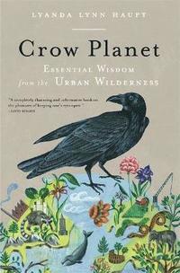bokomslag Crow Planet