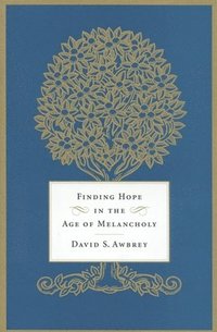 bokomslag Finding Hope in the Age of Melancholy