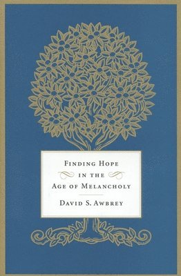 bokomslag Finding Hope in the Age of Melancholy