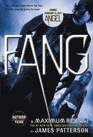 Fang 1