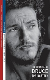 bokomslag It Ain't No Sin...Springsteen