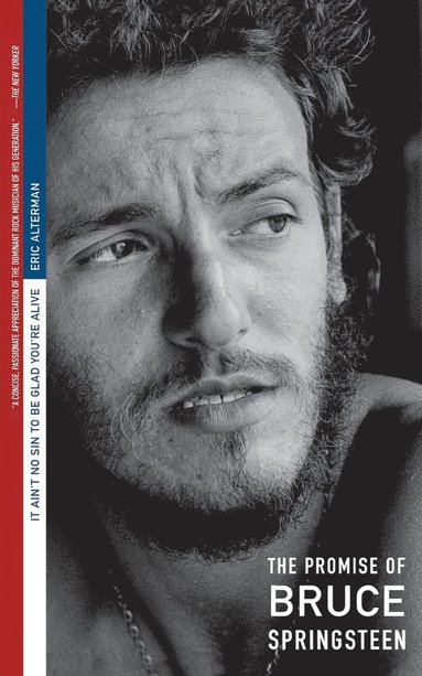 bokomslag It Ain't No Sin...Springsteen