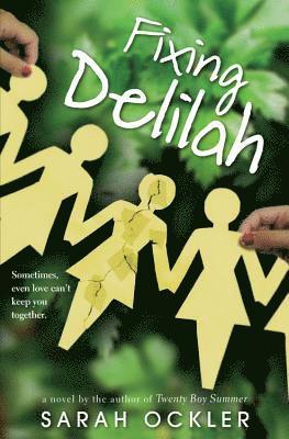 bokomslag Fixing Delilah
