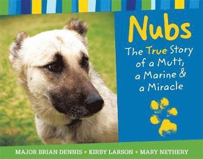 Nubs: The True Story 1