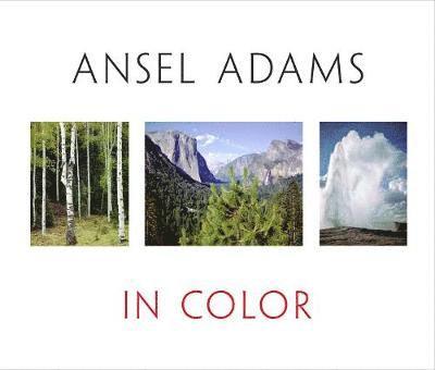 Ansel Adams In Color 1