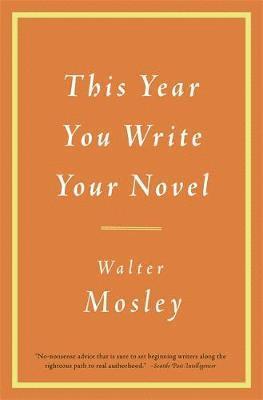 bokomslag This Year You Write Your Novel