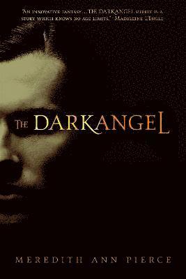 bokomslag The Darkangel