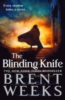 bokomslag Blinding Knife