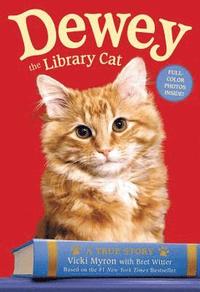 bokomslag Dewey The Library Cat: A True Story