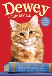 bokomslag Dewey the Library Cat: A True Story