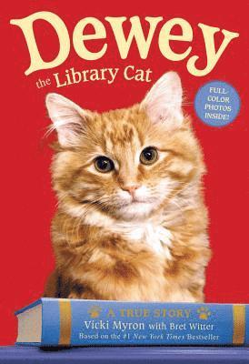 bokomslag Dewey the Library Cat: A True Story