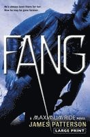 Fang 1