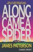 Along Came a Spider 1