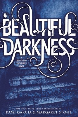 bokomslag Beautiful Darkness