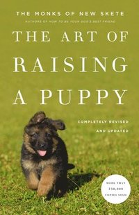 bokomslag The Art Of Raising A Puppy