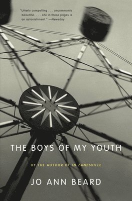 Jo Ann Beard - The Boys of My Youth, Häftad