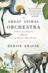 bokomslag The Great Animal Orchestra: Finding the Origins of Music in the World's Wild Places