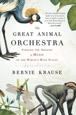 bokomslag The Great Animal Orchestra: Finding the Origins of Music in the World's Wild Places