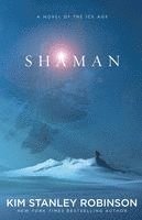 bokomslag Shaman
