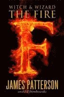 bokomslag The Fire