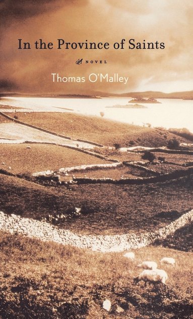 Thomas O'Malley - In The Province Of Saints, Häftad