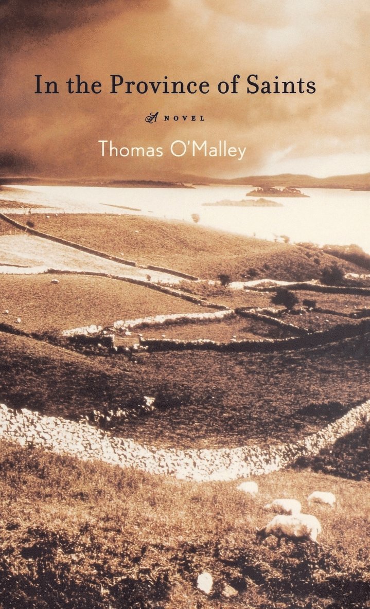 Thomas O'Malley - In The Province Of Saints, Häftad