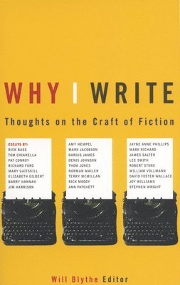 bokomslag Why I Write: Thoughts on the Craft of Fiction