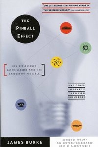 bokomslag The Pinball Effect