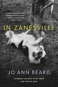 bokomslag In Zanesville: A Novel