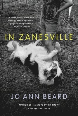 In Zanesville: A Novel 1