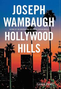 bokomslag Hollywood Hills