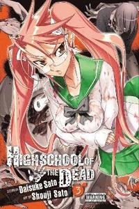 bokomslag Highschool Of The Dead, Vol 3