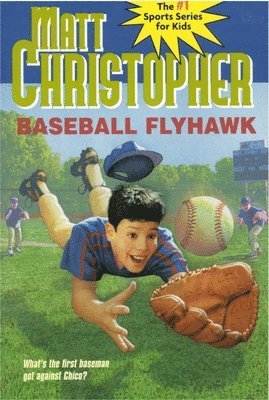 Baseball Flyhawk 1