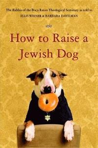 bokomslag How to Raise a Jewish Dog