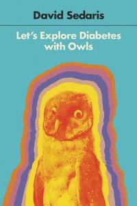bokomslag Let's Explore Diabetes with Owls