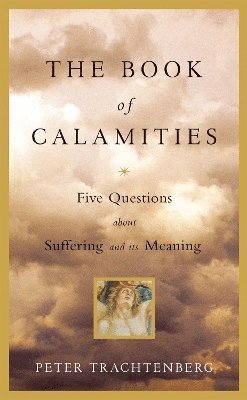 bokomslag Book Of Calamities