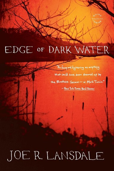bokomslag Edge of Dark Water
