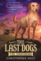 bokomslag The Last Dogs: The Vanishing