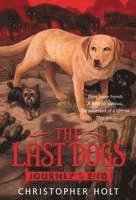 Christopher Holt - The Last Dogs: Journey's End, Häftad