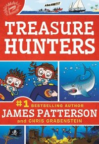 bokomslag Treasure Hunters