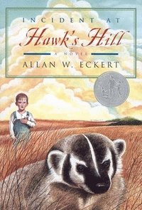 bokomslag Incident at Hawk's Hill