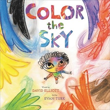 David Elliott, Evan Turk - Color the Sky, Inbunden