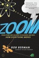 bokomslag Zoom: From Atoms and Galaxies to Blizzards and Bees: How Everything Moves